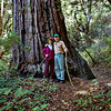 Friends & Family in California 2007 : 