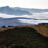 Central California Landscapes : 